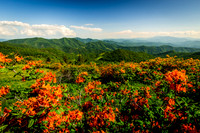 Nature and Travel Prints for sale